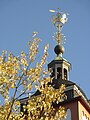 Herbstliches Stimmungsbild mit „Krönchen“