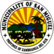 Official seal of San Miguel