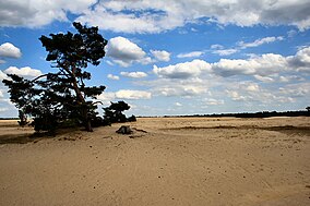 Hoge Veluwe National Park things to do in Arnhem