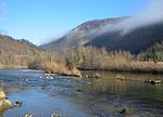 Sličica za Sava Bohinjka