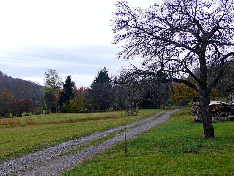 File:Schaichtal - panoramio.jpg