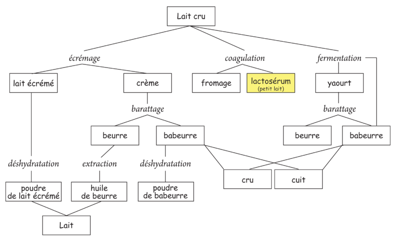 File:Schema lactoserum.png