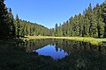 Geschütztes Moorgebiet Schwarzsee in Arosa/Schweiz, Blick in Richtung Maran.