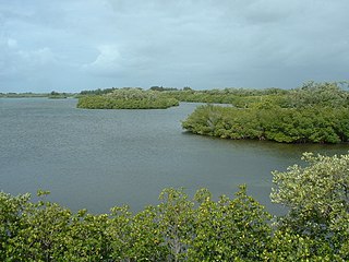 <span class="mw-page-title-main">Sebastian Inlet State Park</span> State park in Florida, US