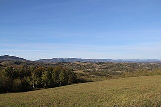 <span class="mw-page-title-main">Lopatanj</span> Village in Kolubara, Serbia