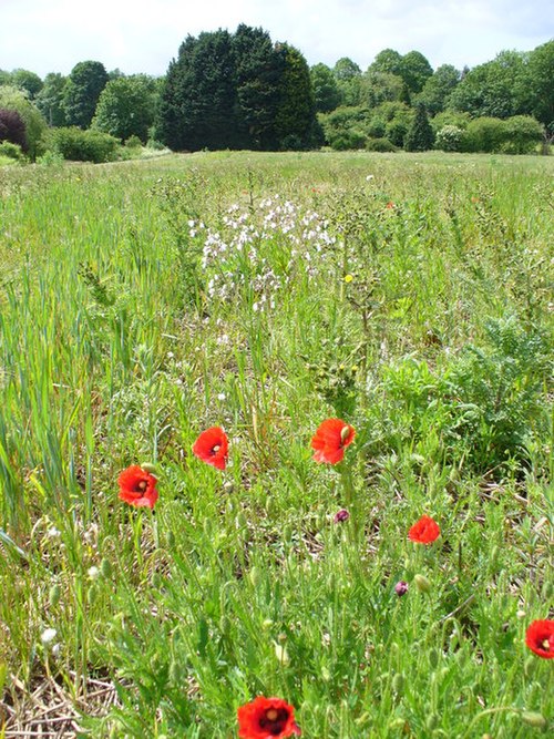 Set-aside field and woodland of the greater part of the parish, forming a green buffer from other villages within the Metropolitan Green Belt