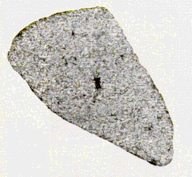 Shergotty meteorite.gif