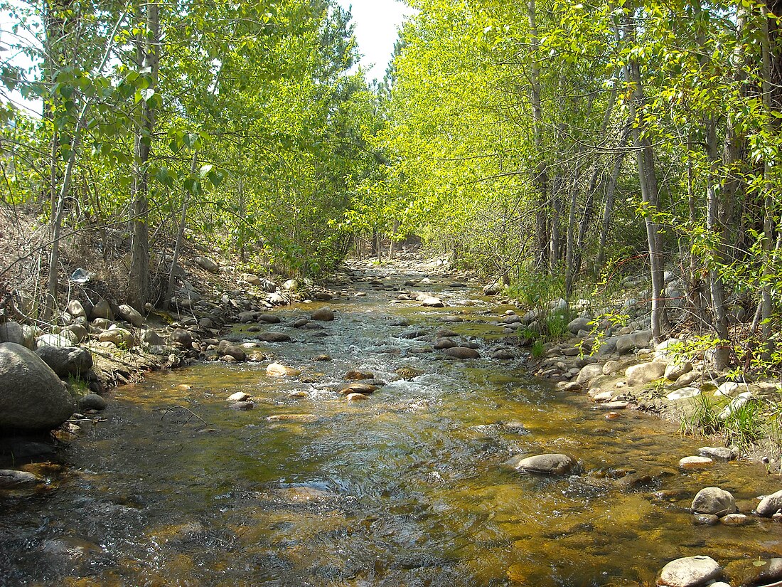 Shingle Creek (British Columbia)