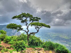 Sithar Kundu Viewpoint