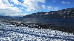 Fayl: Okanagan markazining qor bilan changlangan ko'li qirg'og'i. Qish oxirida