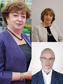 Social Democrats (Ireland) Leadership, 2016.jpg