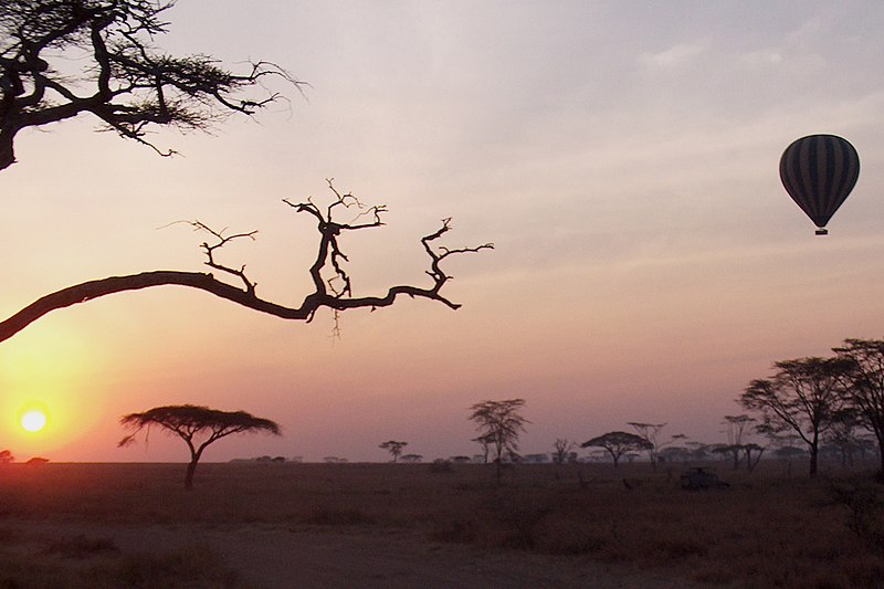 File:Solnedgang Tanzania - panoramio.jpg