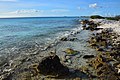 Southwest coral coast (Bonaire 2014) (15073094553).jpg