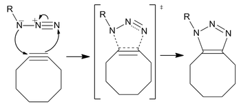 Механизмът протича чрез стандартно 1,3-диполярно циклоприбавяне.