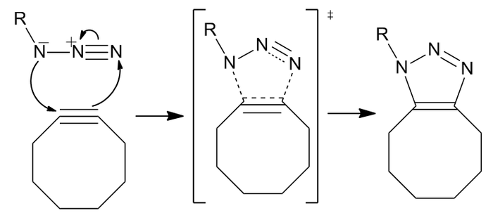 The mechanism proceeds through a standard 1,3-dipolar cycloaddition.