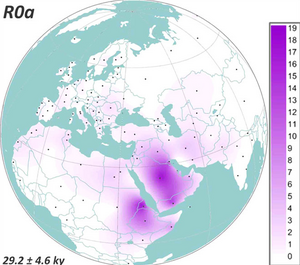 Haplogroup R0