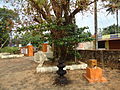 Sree Kurumbakkavu Bhagavathi Temple Poykkattussery Aalthara