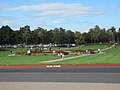 Stanford University Oval