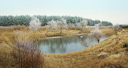 A small agricultural retention pond in Swarzynice, Poland