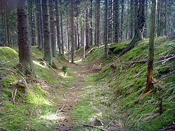 Zlatá stezka, 1 km severně od Horské Kvildy