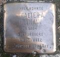 Stolperstein für Walter A. Heymann (Rhodiusstraße 7)