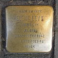 image=File:Stolperstein Ratingen Oberstraße 42 Helene Levy.jpg