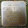 Stolperstein for Hedwig Steinberg geb.  cat