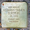 Stolperstein Wisbyer Str 11C (Prenz) Hermann Shimon Burstein.jpg