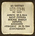 image=https://commons.wikimedia.org/wiki/File:Stolperstein_f%C3%BCr_Leo_Cohn_(Strasbourg).jpg