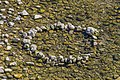 * Nomination: Stone circle on the Tarn River in La Malene, Lozere, France. --Tournasol7 06:52, 14 June 2018 (UTC) * * Review needed