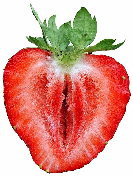 File:Strawberry sliced.jpg