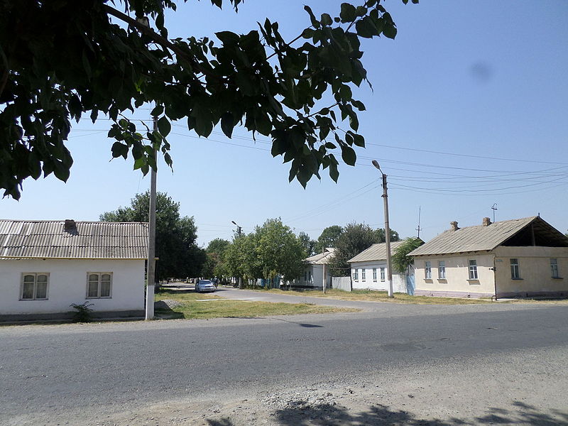 File:Street in Guliston.JPG