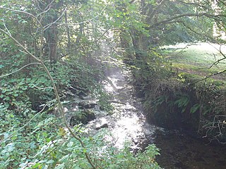 <span class="mw-page-title-main">River Rhaeadr</span> River in Wales