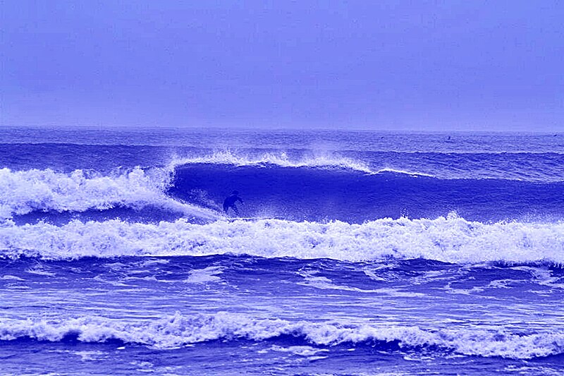 File:Surfista en Huanchaco.jpg