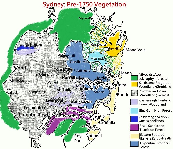 File:Sydney vegetation pre-1750.jpg