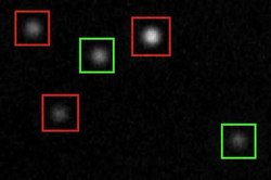 Fayl: TPM Experiment video.ogv