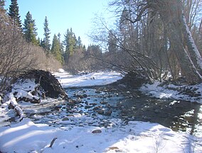 Beaver dam site after removal by US Forest Service on December 12, 2013.