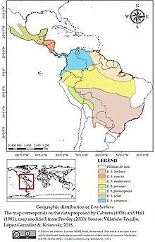 Distribution of tayra subspecies. Tayra range.jpg