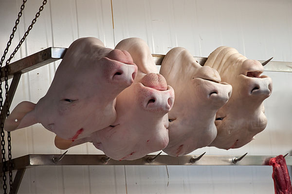 Calves' heads in a tripe shop