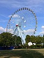 Texas Star (ferris wheel)