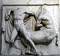 The Parthenon Sculptures – Centaur and Lapith from South metope XXVII, British Museum (26851032360).jpg