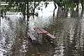 [[:en:Murray River in flood at enTocumwal}}