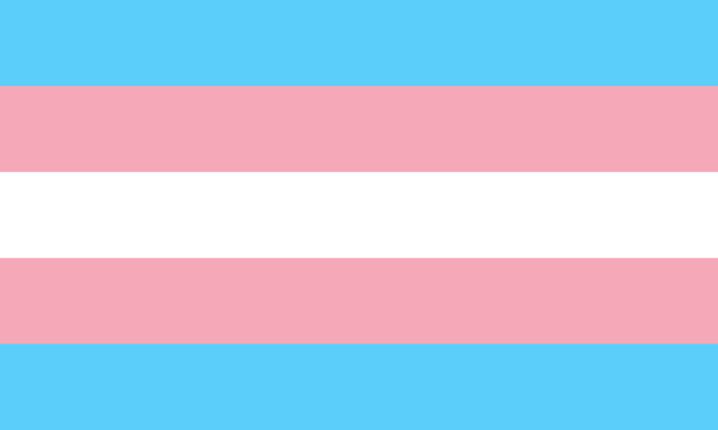 Datei:Transgender Pride flag.svg – Wikipedia