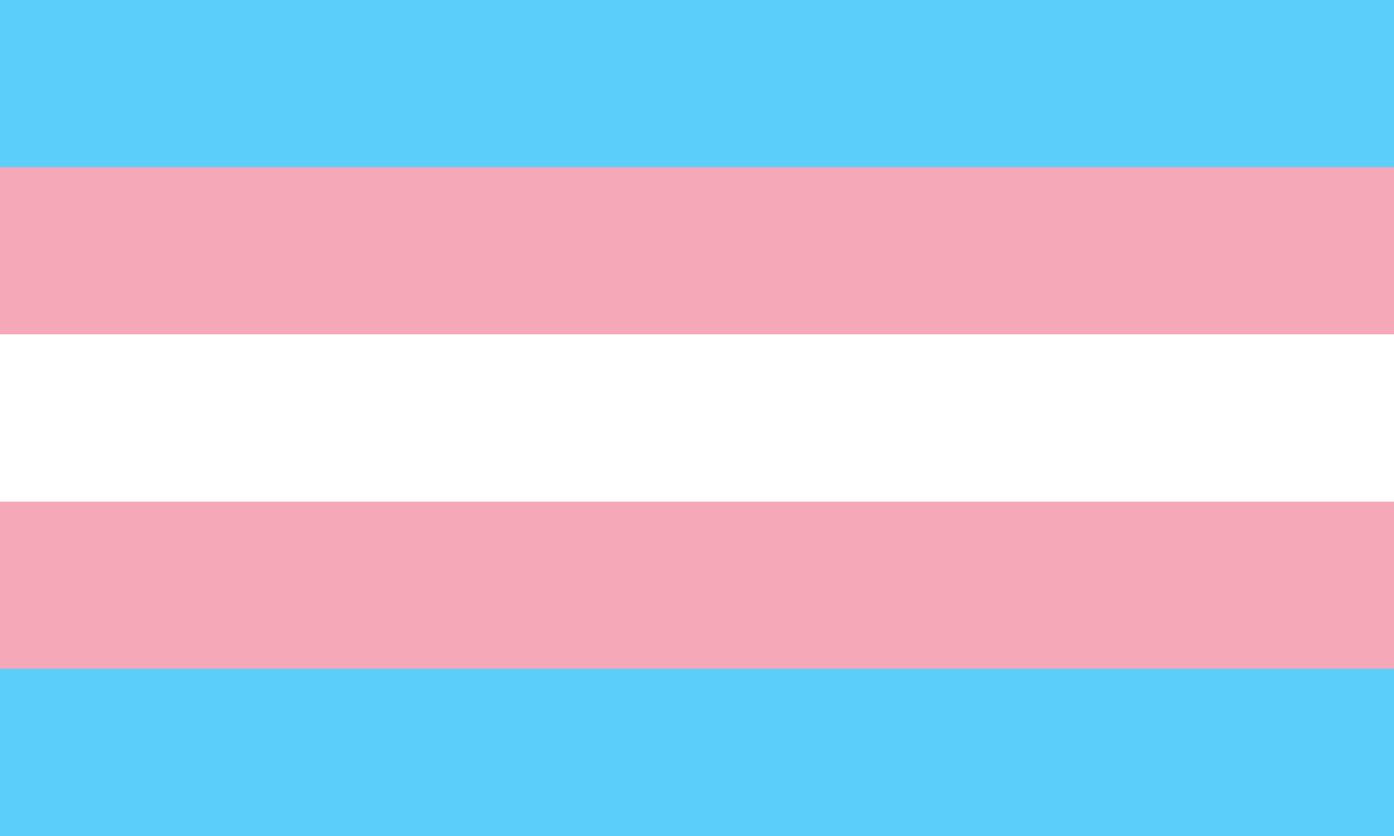 LGBT Transgender Pride Flag