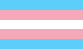 Trans pride flag, made up of horizontal stripes of (from top to bottom) light blue, pink, white (which represents nonbinary people), pink and light blue.