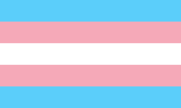Bandeira transgênero