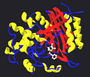 Penicilin G i Streptomyces transpeptidaza