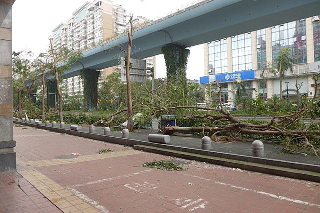 Trees and billboards were destroyed after Typhoon Meranti, Xiamen.