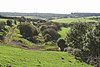 Treneglos - direkte al Treskellow - geograph.org.uk - 556976.jpg