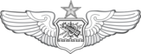 US Air Force Senior Astronaut Observer Navigator Combat System Officer Badge.png